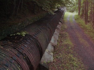 2001.08.08 15.24.07.jpg